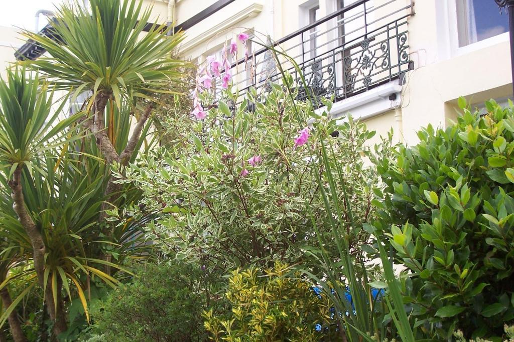Ashwood Grange Bed & Breakfast Torquay Dış mekan fotoğraf